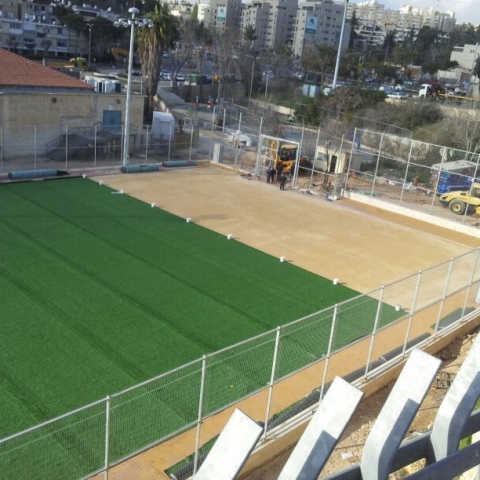 פריסת דשא